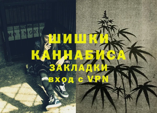 ПСИЛОЦИБИНОВЫЕ ГРИБЫ Абаза