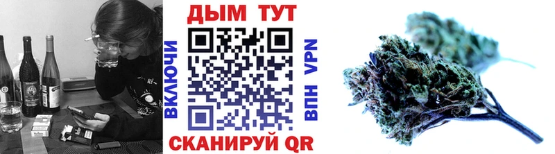 Конопля план  блэк спрут зеркало  Тырныауз 